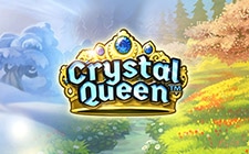 Royal Coins
